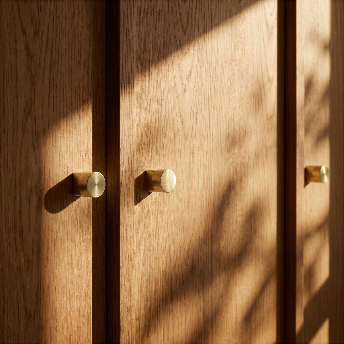 Ralen Knob & Pull Bar