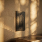The Brass TV Socket (1-Gang)