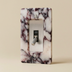 Calacatta Viola / Stainless Steel