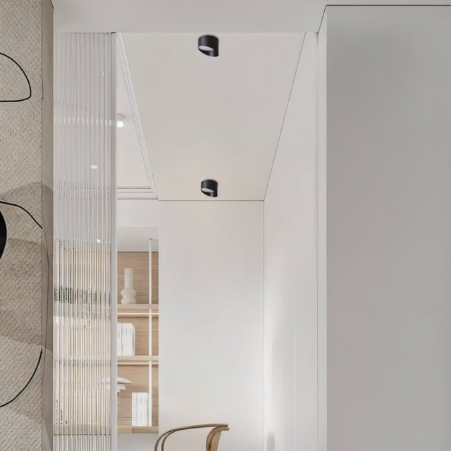 "Flush-mounted ceiling light, matte black aluminum, modern hallway interior"