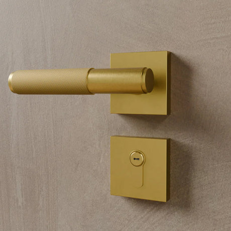 The Brass Door Handle