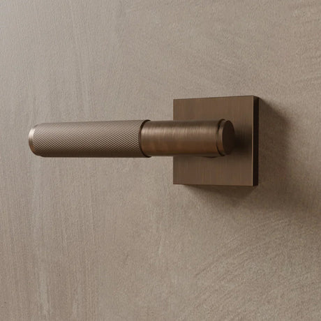 The Brass Door Handle