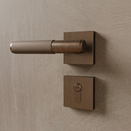 The Brass Door Handle