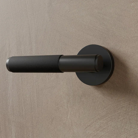 The Brass Door Handle