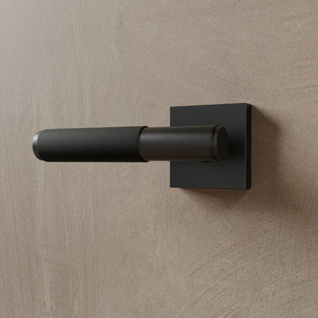 The Brass Door Handle