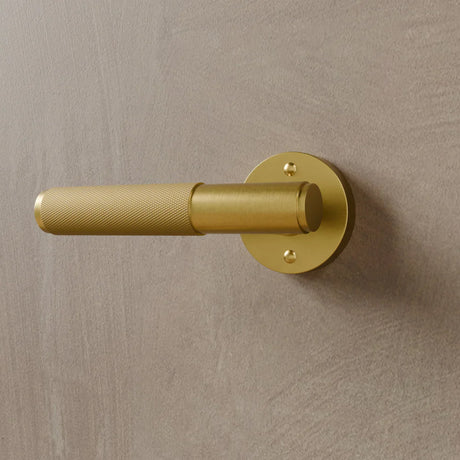 The Brass Door Handle