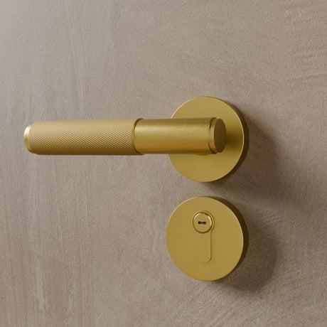 The Brass Door Handle