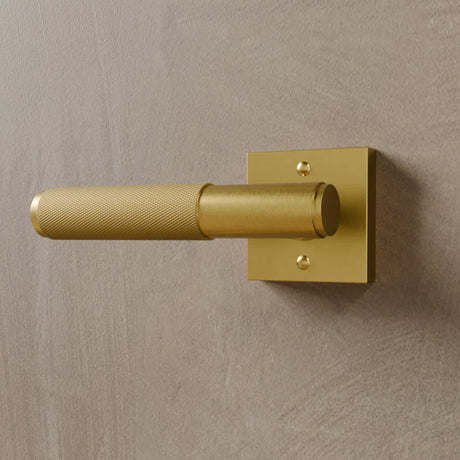 The Brass Door Handle