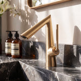 Hasmn Bathroom Faucet