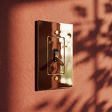 The Polished Brass Toggle Switch