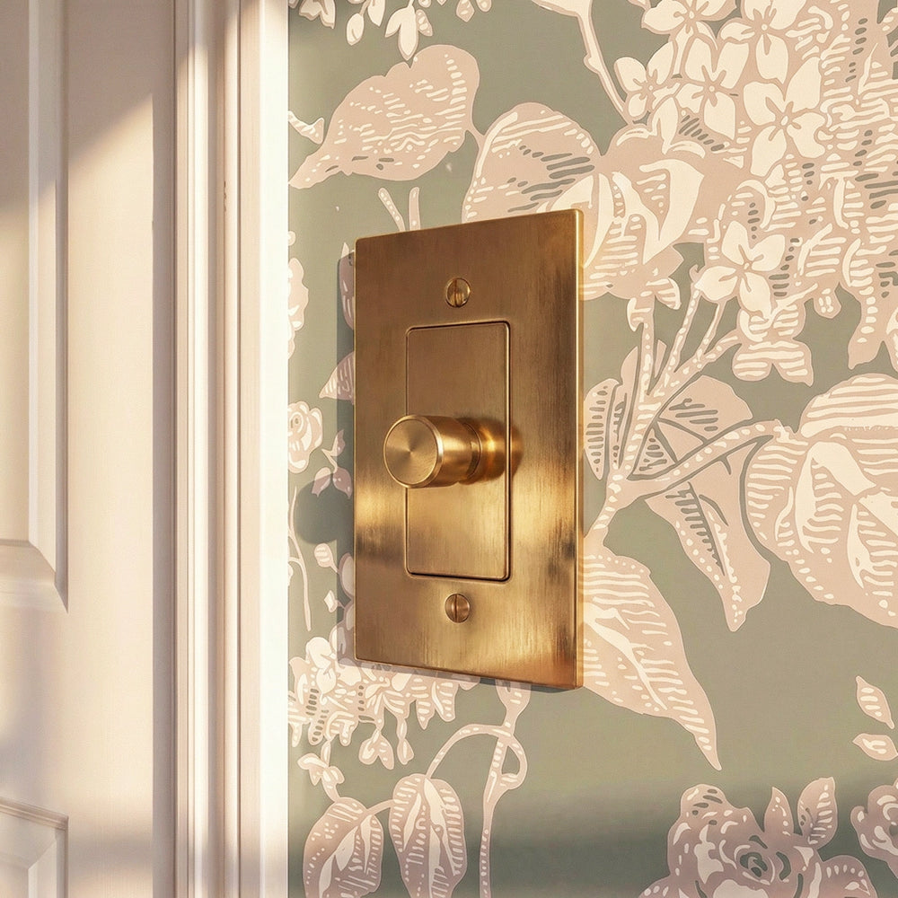 The Unlacquered Brass Dimmer Switch