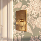 The Unlacquered Brass Dimmer Switch
