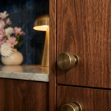 Sean Brass Knob & Pull Bar