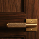 The Brass Door Handle