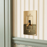 The Polished Brass Toggle Switch