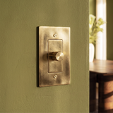 The Unlacquered Brass Dimmer Switch
