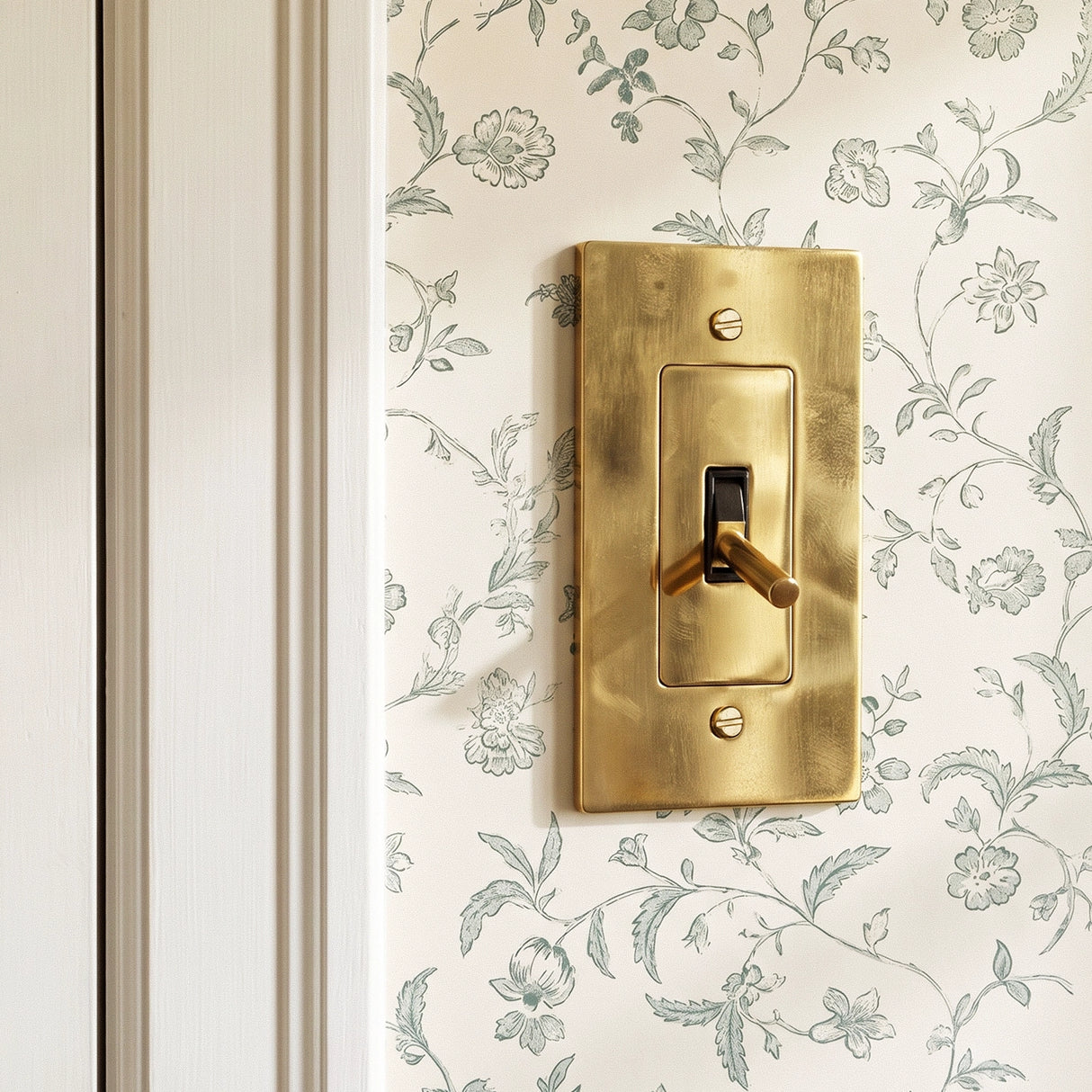 The Unlacquered Brass Toggle Switch