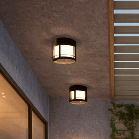 Two Vivienne Garden Ceiling lights on a concrete wall with a window and a plant in the background.