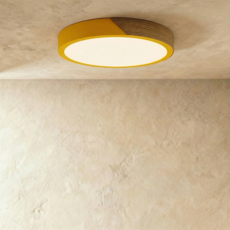 Delphi Ceiling Light
