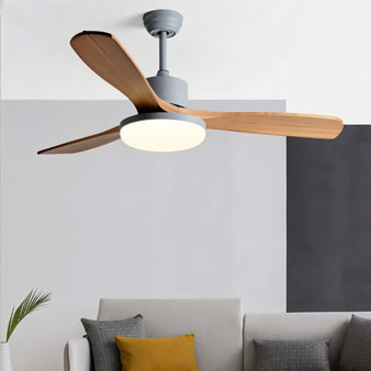 Sema Ceiling Fan in living room