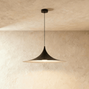 Aeva Pendant Light