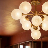 Alinka Chandelier - Residence Supply