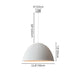 Aloka Pendant Light - Residence Supply