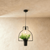 Alzahra Pendant Light - Residence Supply
