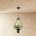Alzahra Pendant Light - Residence Supply