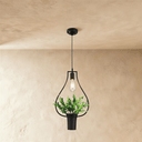 Alzahra Pendant Light