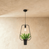Alzahra Pendant Light - Residence Supply