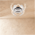 Amaryllis Ceiling Light - Residence Supply