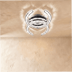 Amaryllis Ceiling Light - Residence Supply