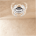 Amaryllis Ceiling Light - Residence Supply