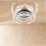 Amaryllis Ceiling Light - Residence Supply