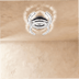 Amaryllis Ceiling Light - Residence Supply