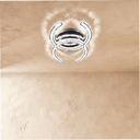 Amaryllis Ceiling Light - Residence Supply