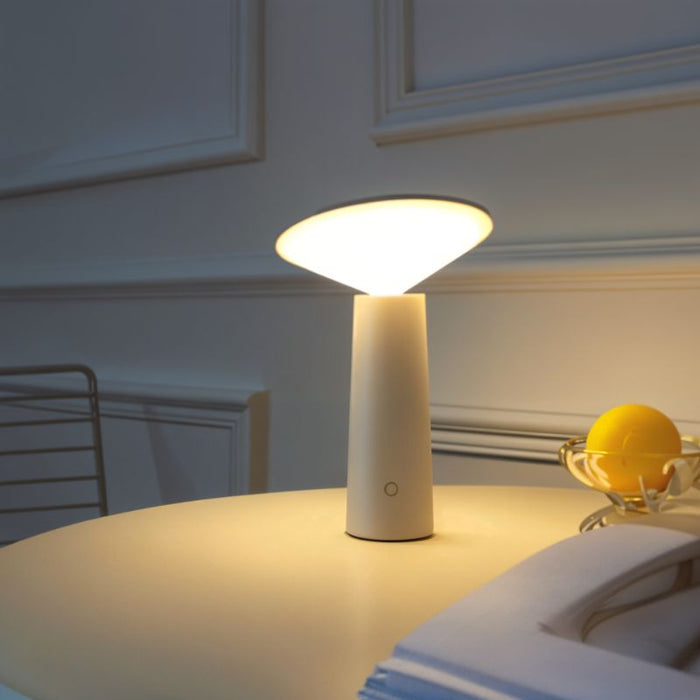 Aonani Table Lamp -  Modern Lighting Fixture