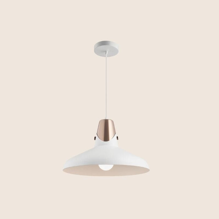 Aper Pendant Light - Residence Supply