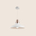 Aper Pendant Light - Residence Supply