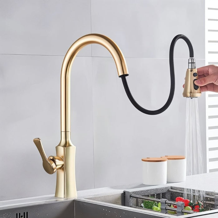 Aqua Kitchen Faucet - Residence Supply