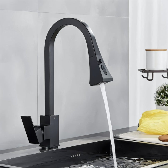 Aqua Kitchen Faucet - Residence Supply