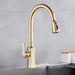 Aqua Kitchen Faucet - Residence Supply