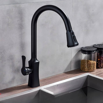 Aqua Kitchen Faucet - Residence Supply