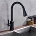 Aqua Kitchen Faucet - Residence Supply