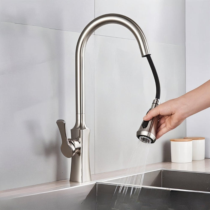 Aqua Kitchen Faucet - Residence Supply