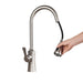 Aqua Kitchen Faucet - Residence Supply