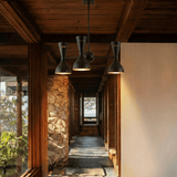 Ardex Chandelier - Residence Supply