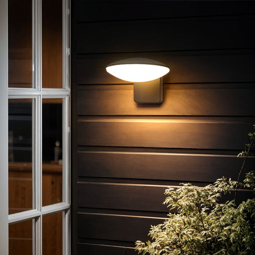 Aruj Outdoor Wall Lamp - Light Fixtures