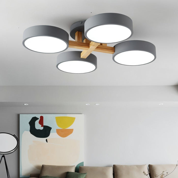 Ashane Ceiling Light - Modern Lighting for Living Room